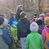 02 Aktion Februar 25 Tiere im Winterwald